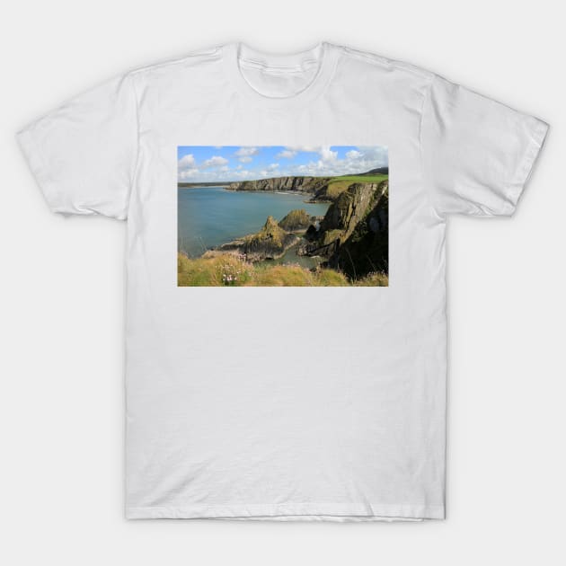 Pembrokeshire Coast T-Shirt by RoystonVasey